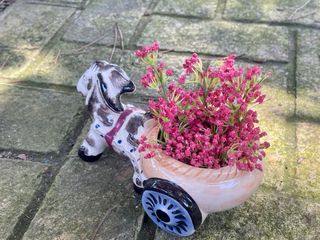 Maceta carrito burro