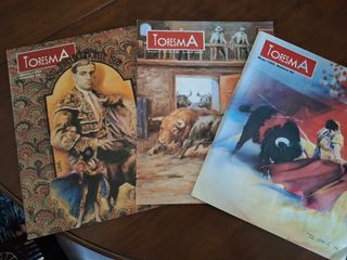 Revistas Toresma
