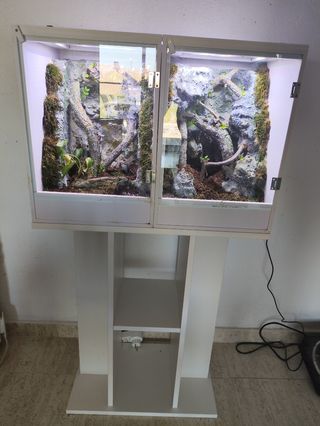 Terrarios de PVC + Mesa soporte