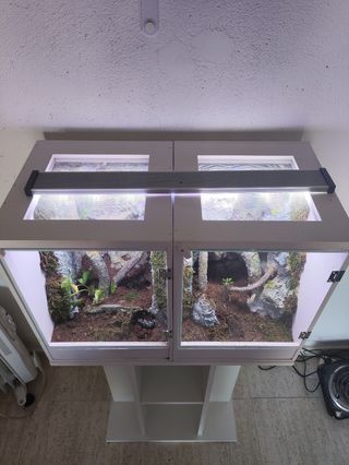 Terrarios de PVC + Mesa soporte