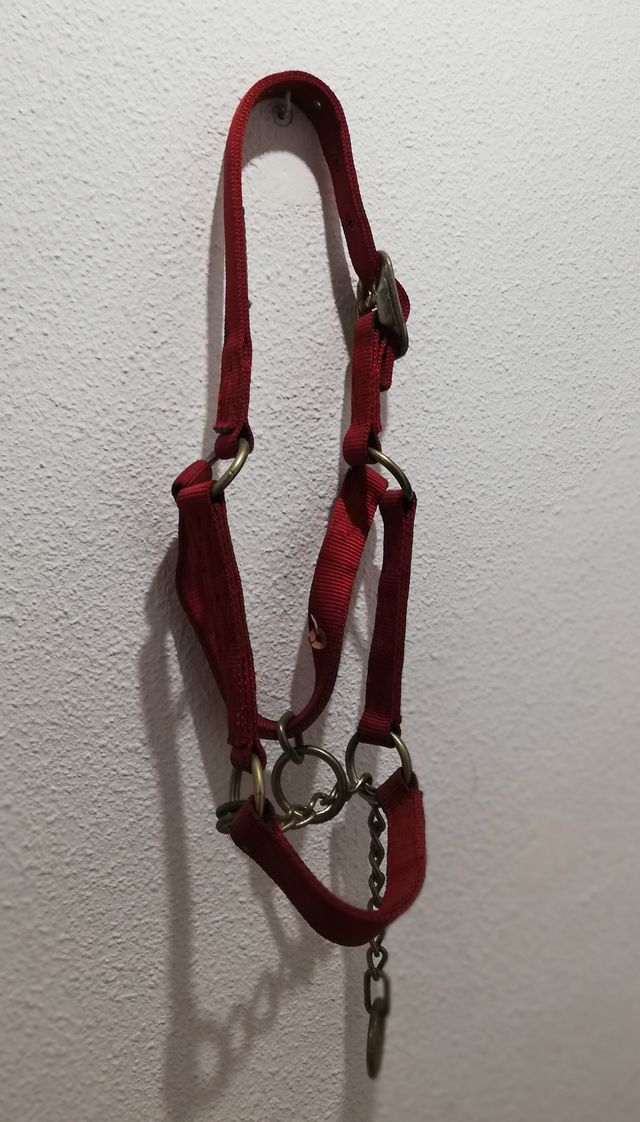 Cabezada roja Hamilton