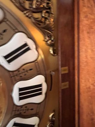 Reloj antiguo de pie Tempus Fugit