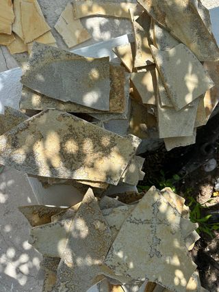 Fósil piedra alemana