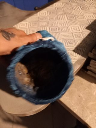 Vaso portafiori jeans