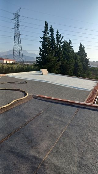 Tejados proyectados