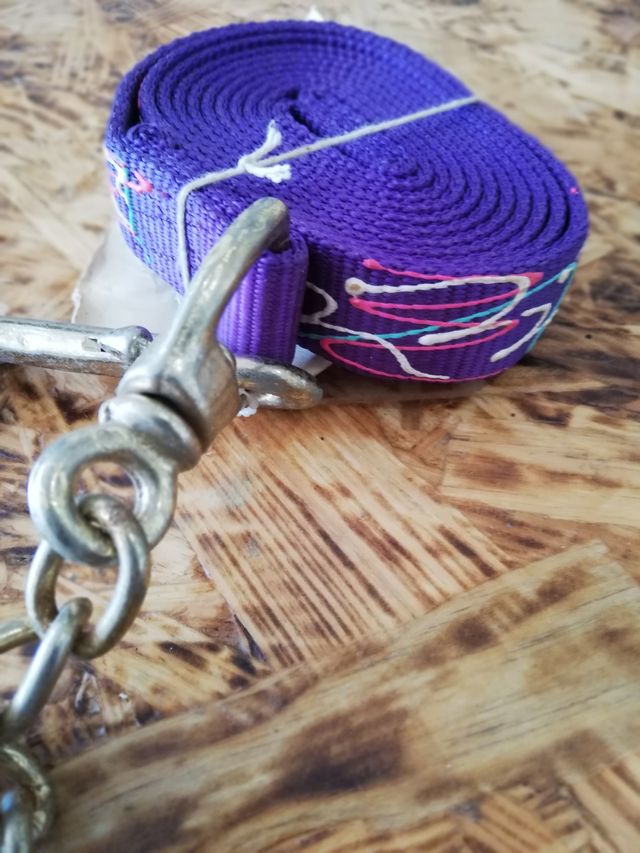 Ramal largo Hamilton purpura.