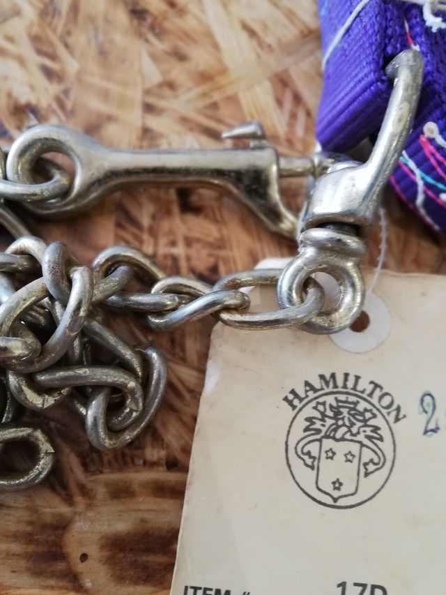 Ramal largo Hamilton purpura.