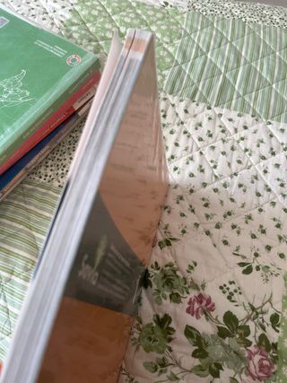 Economía. 1 Bachillerato. Savia (Spanish Edition)