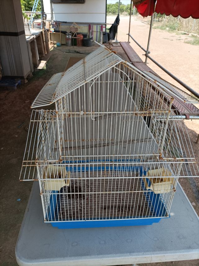 Jaula pajaros - Blanca y Azul