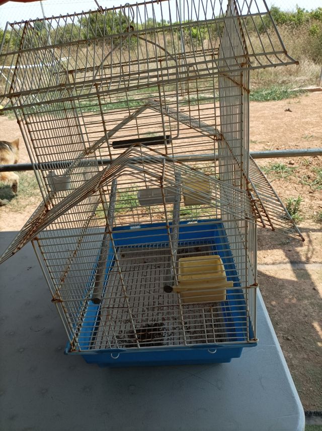 Jaula pajaros - Blanca y Azul