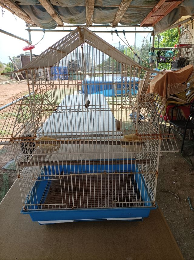 Jaula pajaros - Blanca y Azul