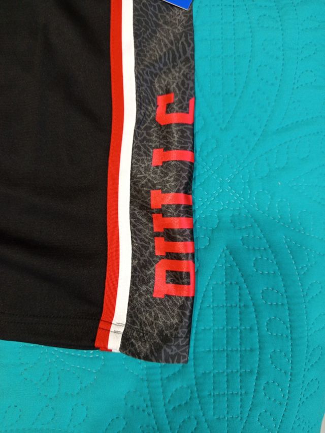 Camiseta Chicago Bulls original