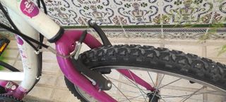 Bicicleta montaña 24" niña.