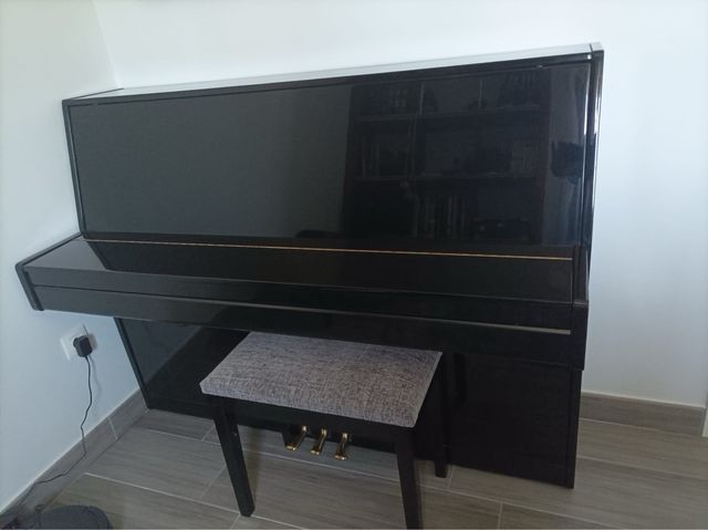 Piano Symphony - Piano acústico