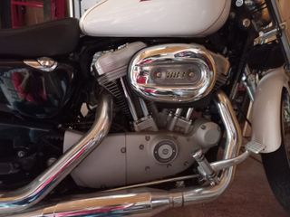 Harley Davidson 883