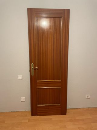 Puertas completas 72,5 madera maciza marrón
