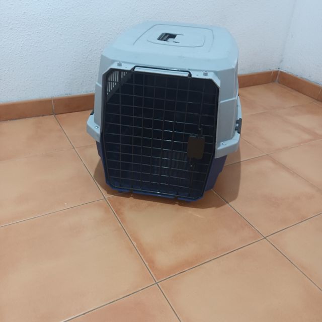 Transportín perro azul y gris