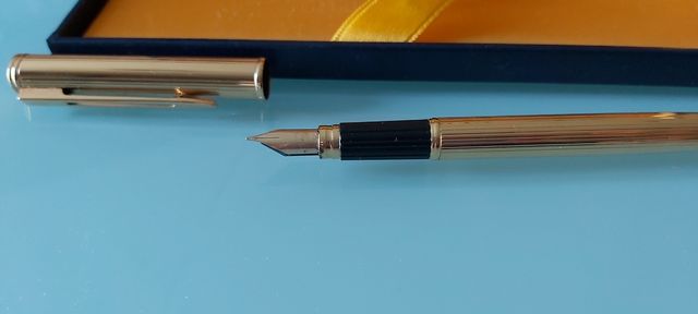 Stilografica Waterman | Penna elegante