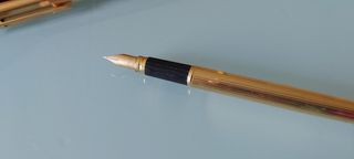 Stilografica Waterman | Penna elegante