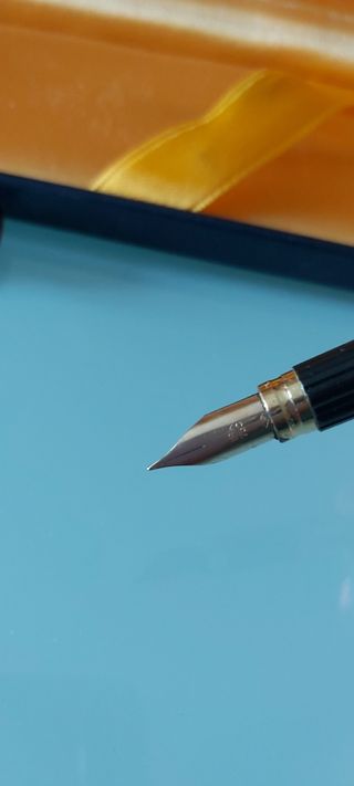 Stilografica Waterman | Penna elegante