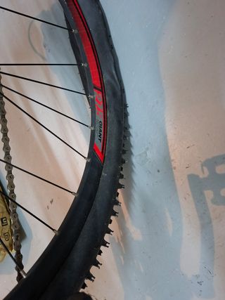 Bicicleta Giant de montaña roja 