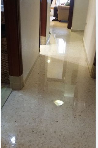 Abrillantador de suelos