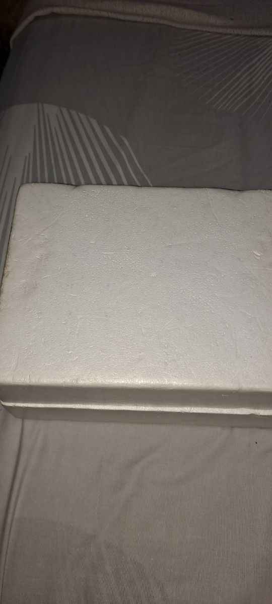 Polaroid Automatic 104 Cámara