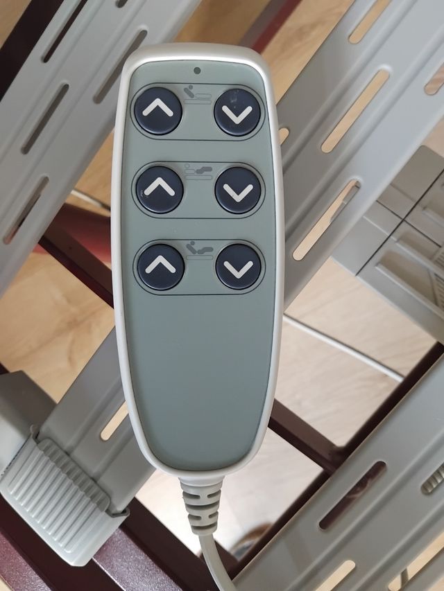 Cama articulada hospitalaria