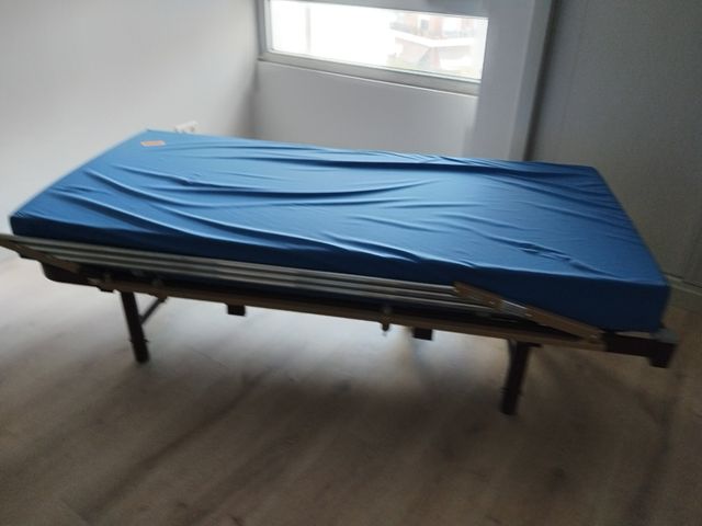 Cama articulada hospitalaria