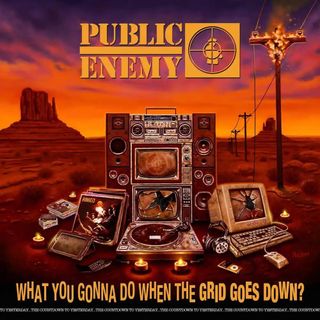 Public Enemy - What You Gonna Do When The... (LP)