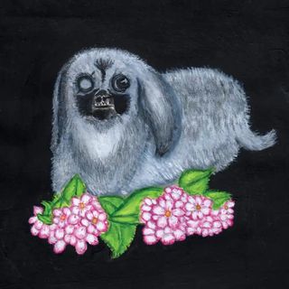 Guadalupe Plata - Guadalupe Plata (2017)