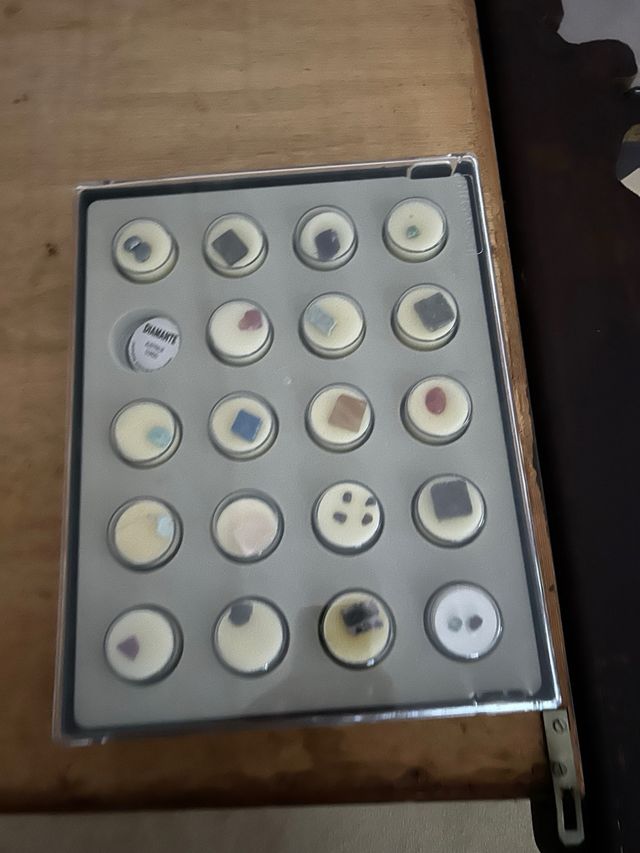 Collezione Fossili: 6 riviste + campioni