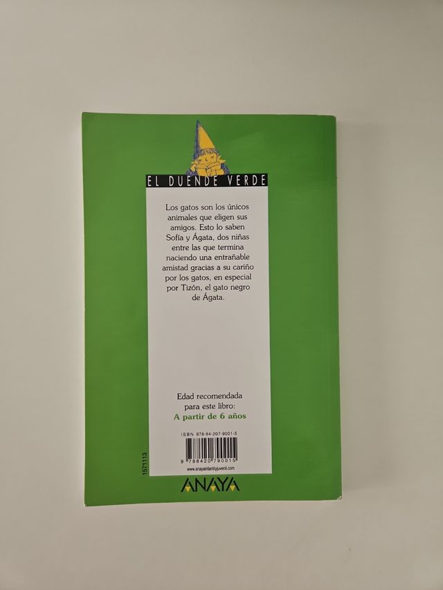 Dias de gatos / Days of Cats (Spanish Edition)