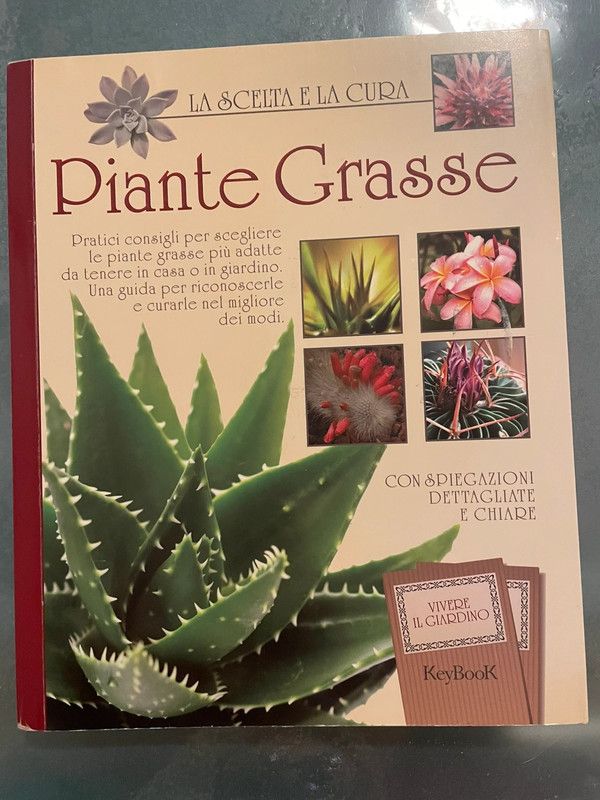 Piante grasse