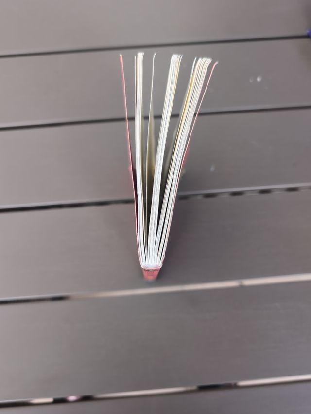 Els dracs no saben nedar