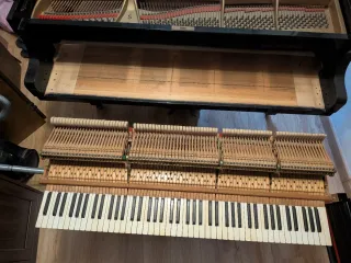 Piano de cola Steinway & Sons