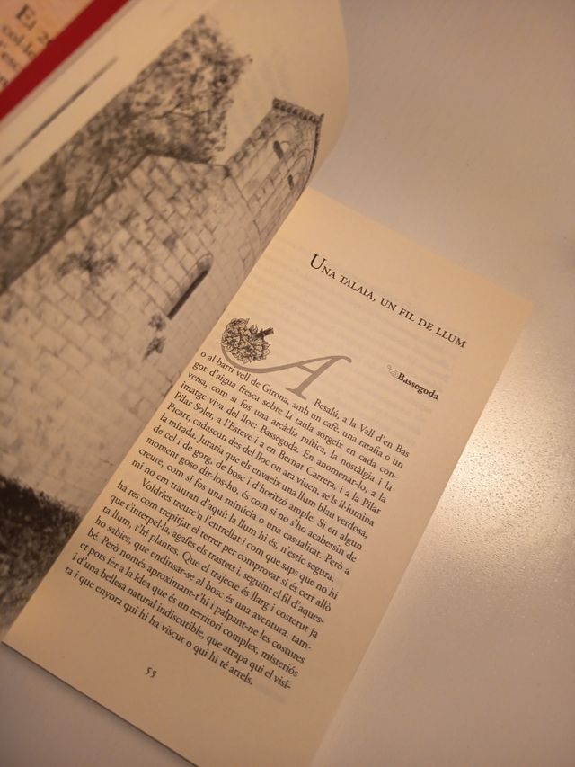 Els pobles perduts del Pirineu català i aranès.