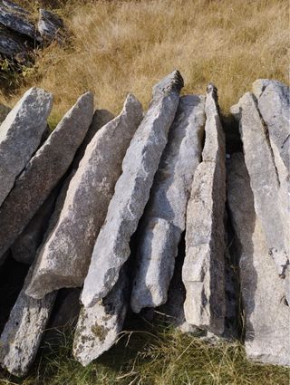 Retiramos postes de viña sin costes