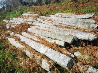 Retiramos postes de viña sin costes