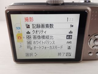 Panasonic Lumix DMC-TZ5 - Cámara compacta