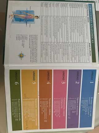 anatomía y fisiología de Thibodeau