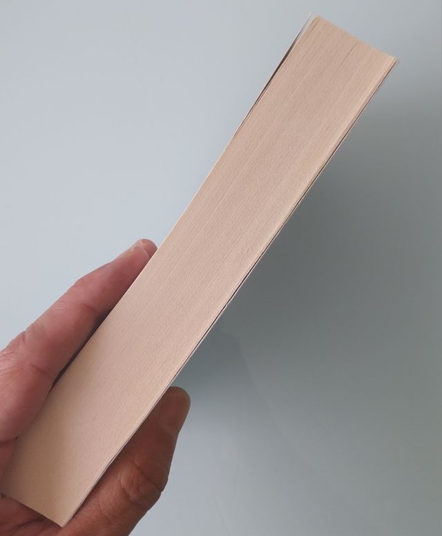 El libro del sepulturero