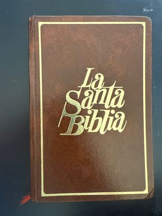 la santa biblia 1980