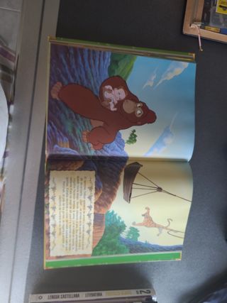 Gran festival disney