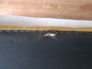 Cabecero cama 150cm - Amarillo - mostaza