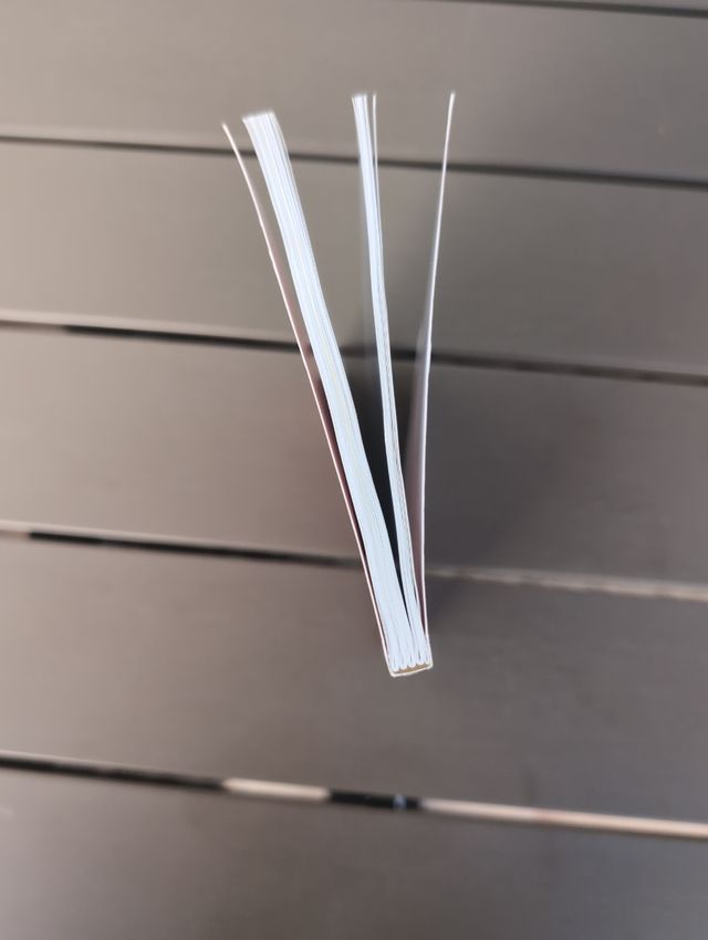 Vols ser el nòvio de la meva germana?