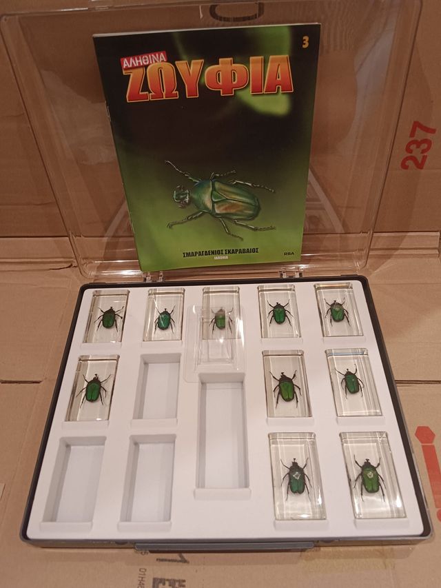 LOTE 10 Escarabajos Esmeralda Coleccionables (x10)