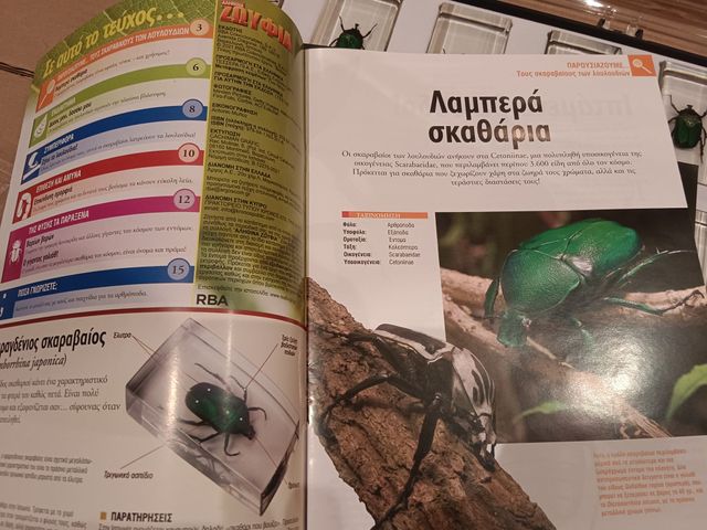 LOTE 10 Escarabajos Esmeralda Coleccionables (x10)