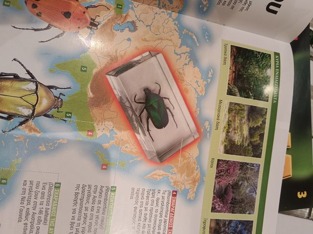 LOTE 10 Escarabajos Esmeralda Coleccionables (x10)