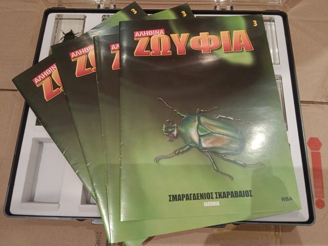 LOTE 10 Escarabajos Esmeralda Coleccionables (x10)